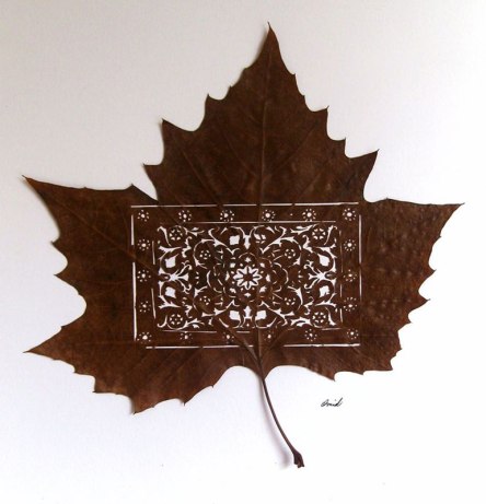 leaf-cut-art-by-omad-asadi-7